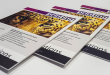 avt decal boi formex