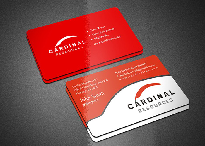 10 mau card visit can mang bong 2